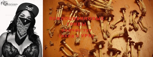 трава Верхний Тагил