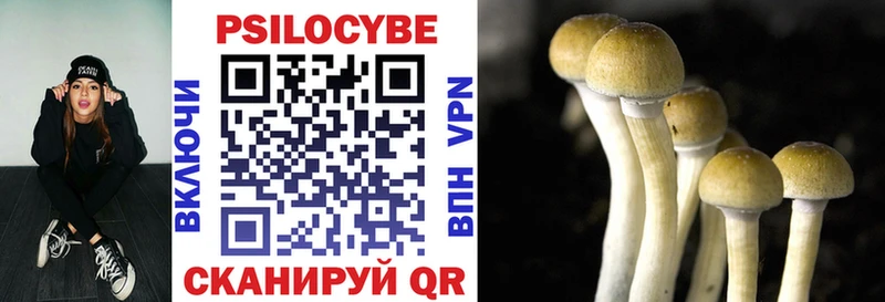 Галлюциногенные грибы Magic Shrooms  Екатеринбург 